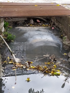 Очистке оросительных каналов «Бекенез» и «Эль-татаул»