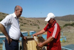 Житель из Карабудахкента на протяжении более 40 лет занимается пчеловодством