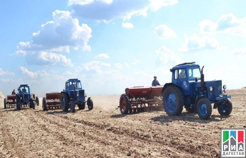 В Дагестане провели яровой сев на площади около 66 тысяч гектаров