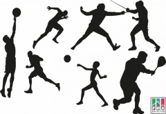 Ассоциацию спортсменов создадут в Дагестане