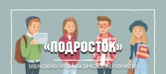 Оперативно профилактическое мероприятие «Подросток-2024».