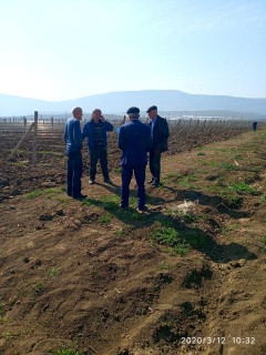 Весной текущего года планируется посадить в Карабудахкентском районе около 40га новых виноградников