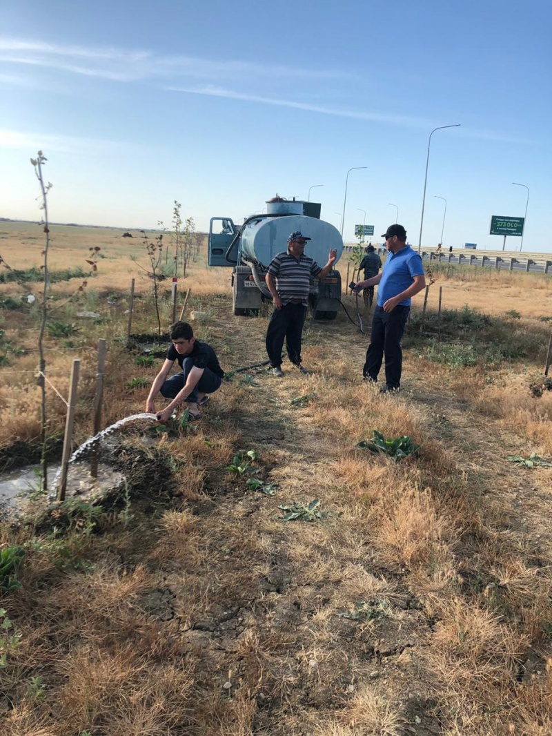 Акция «Зеленые километра» находятся под контролем глав поселений Карабудахкентского района