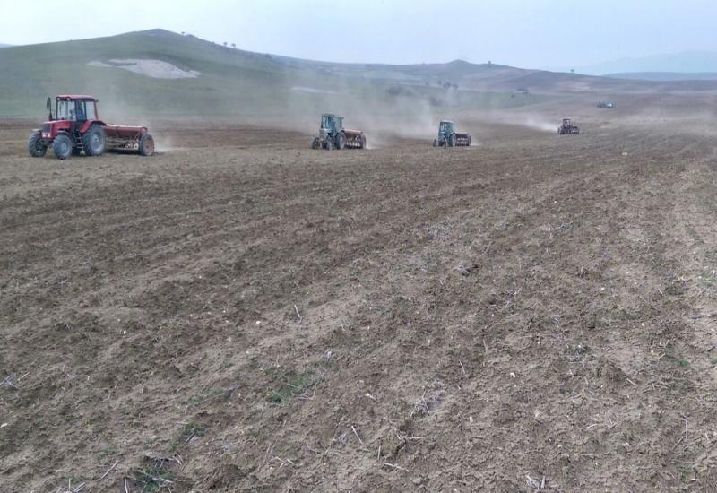 Посев озимых зерновых культур продолжается в Карабудахкентском районе