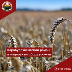 Аграрии Дагестана завершили уборку озимых зерновых культур. 