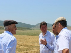 В поселениях Гели и Карабудахкент продолжается уборка урожая зерновых колосовых культур