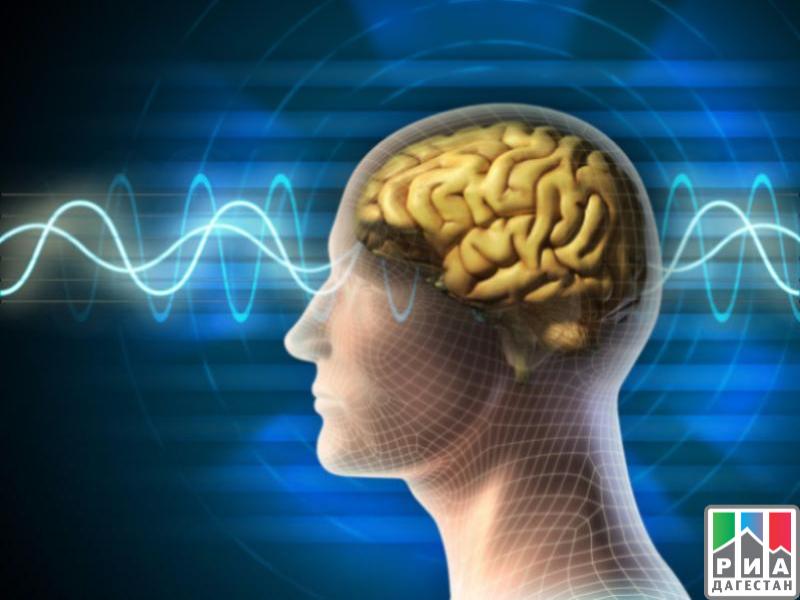 СМИ: ученые нашли эффективный способ улучшения памяти
