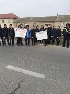 Учащиеся 7 "б" класса Карабудахкентской средней школы №2 приняли участие в акции, посвящённой Всемирному дню памяти жертв ДТП