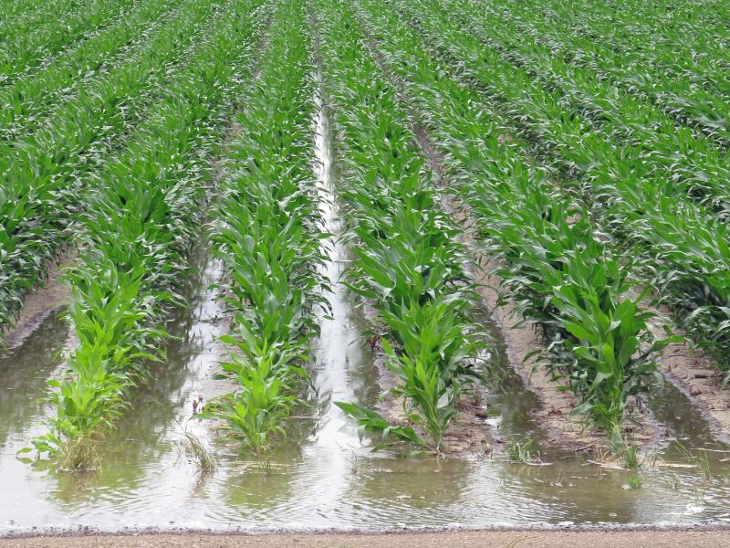 Сельхозпроизводители могут воспользоваться наличием поливной воды 