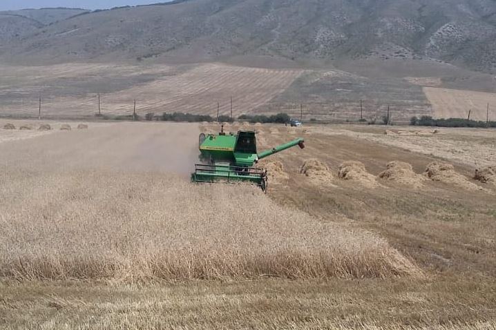 В Какашуре начали уборку урожая зерновых