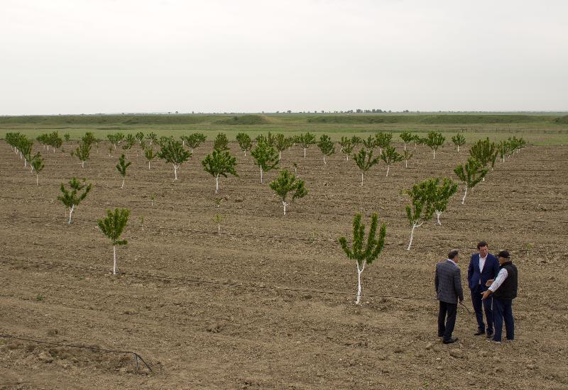 Как используются сельхозземли в Карабудахкентском районе?