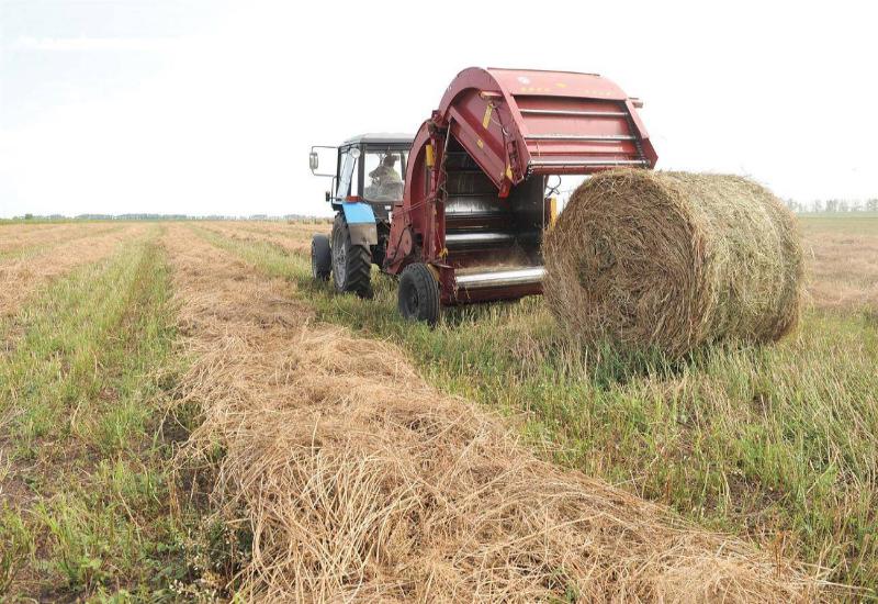 На счету аграриев Карабудахкентского района свыше 10 тыс. тонн заготовленного силоса