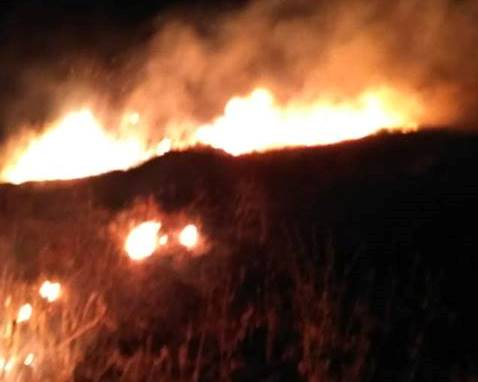 В Карабудахкентском районе потушили пожар на полях