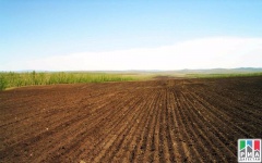 Карабудахкентский район в числе лидеров по вовлечению в оборот не используемых ранее сельхозземель в Дагестане